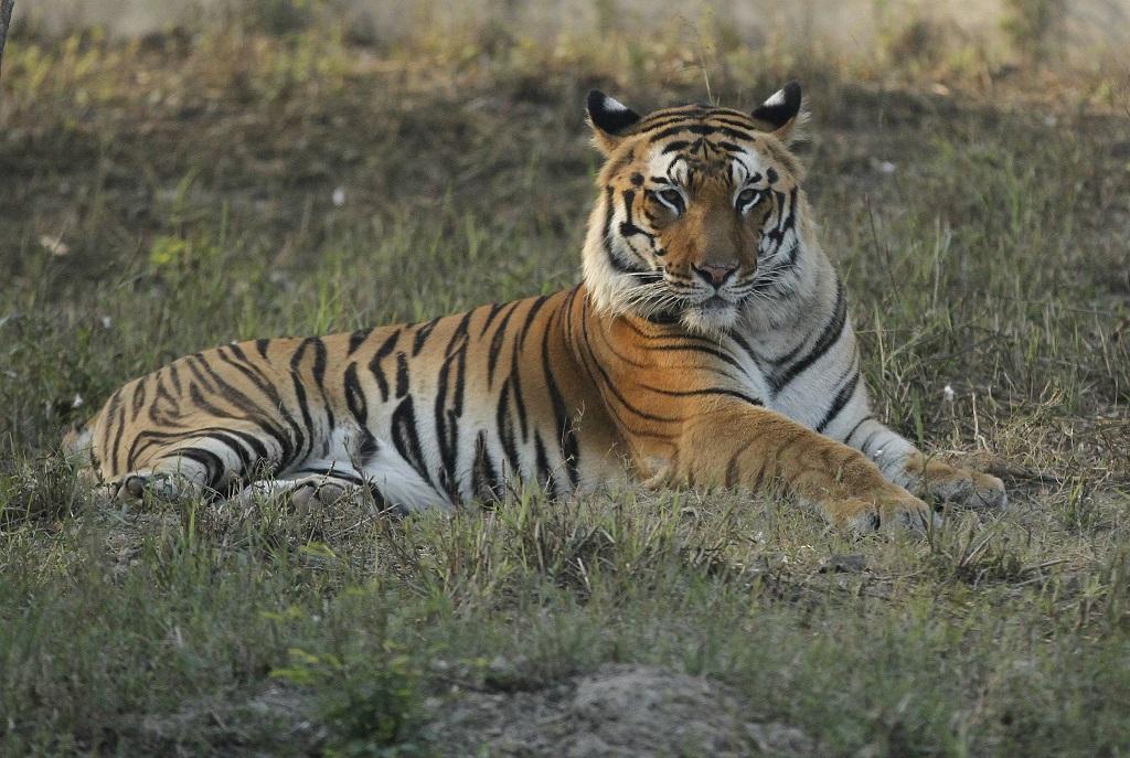 फोटो: विकास चौधरी