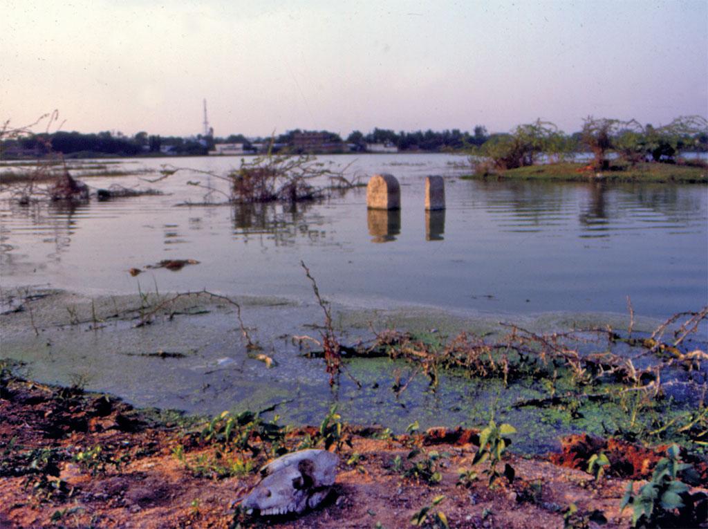 1960 के दशक तक आंध्र प्रदेश में पारंपरिक तालाब ही खेतों को सींचने के मुख्य साधन थे। पर अब तालाबों की संख्या में मामूली वृद्धि के बावजूद सिंचित क्षेत्र घटा है