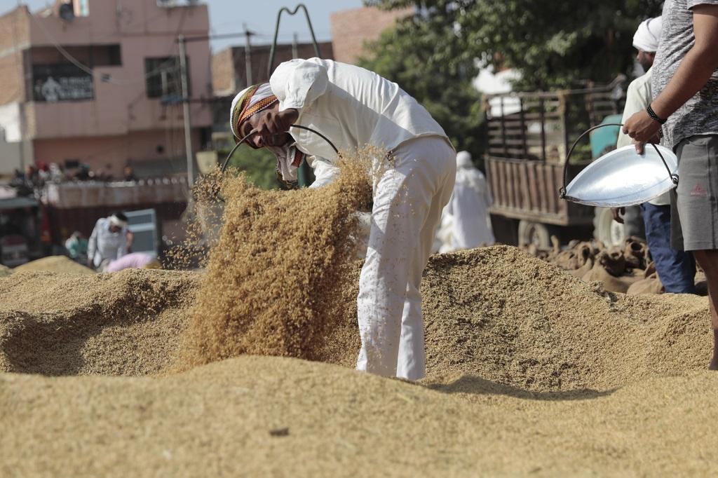 फाइल फोटो: श्रीकांत चौधरी