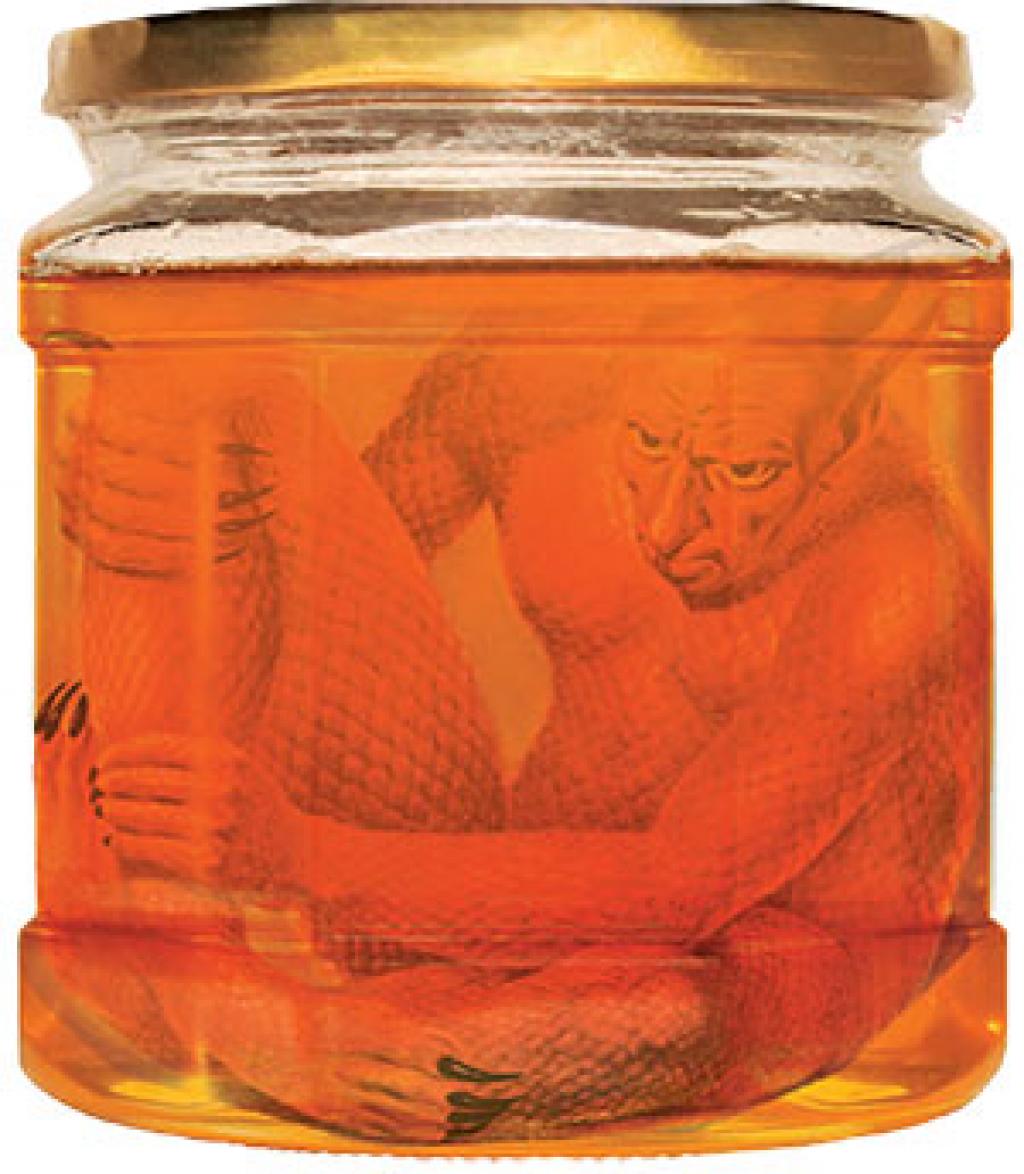 मीठा जहर: शहद में मिलावट के काले कारोबार का खुलासा