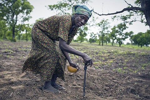 2021 में खेती पर निर्भर 4.9 करोड़ लोगों तक मदद पहुंचाएगा एफएओ