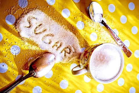 Photo : Wikimedia Commons