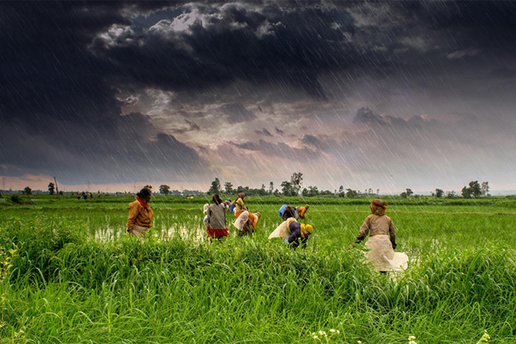 Photo : Wikimedia Commons