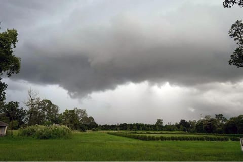 मानसून अपडेट: भारत के पूर्वोत्तर राज्यों में हुई सामान्य से कम बारिश