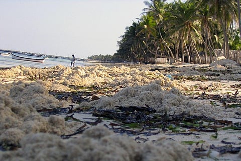 जलवायु परिवर्तन के चलते 0.9 मिलीमीटर प्रतिवर्ष की दर से लक्षद्वीप में बढ़ सकता है समुद्र का जलस्तर