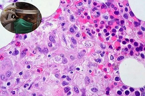 Photo : Wikimedia Commons