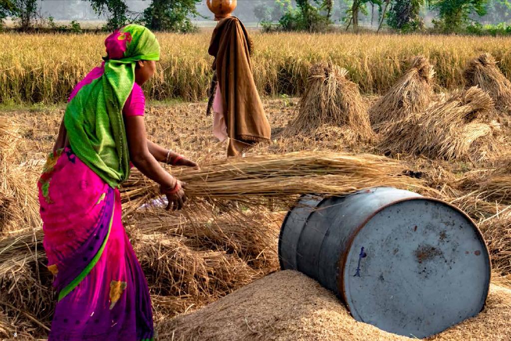 क्या कृषि से जुड़ा कचरा बदल देगा भारत में फैशन का भविष्य