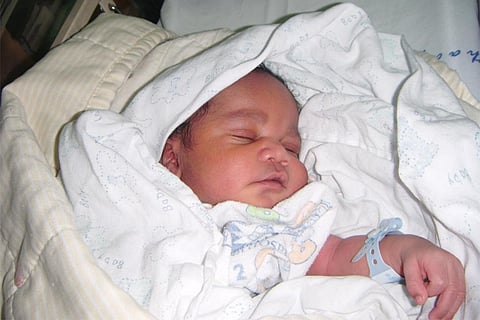 फोटो : विकिमीडिया कॉमन्स 