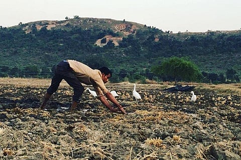 A farmer in Bundelkhand. Photo: Nirmal Yadav