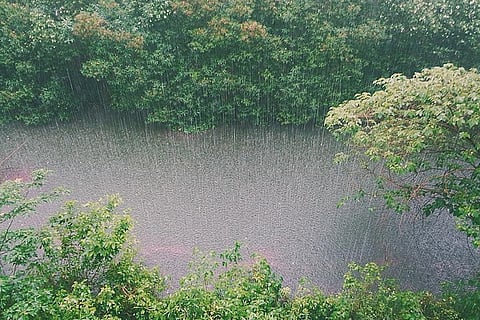 फोटो : विकिमीडिया कॉमन्स 