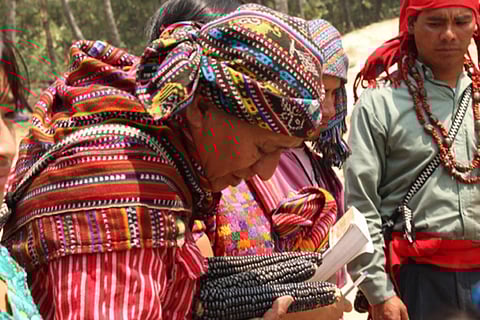 फोटो: आईआईपीएफसी के सौजन्य से