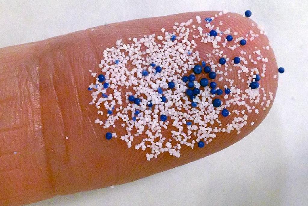 फोटो : विकिमीडिया कॉमन्स 