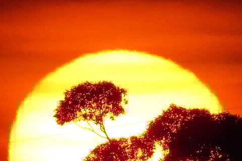 फोटो : विकिमीडिया कॉमन्स 