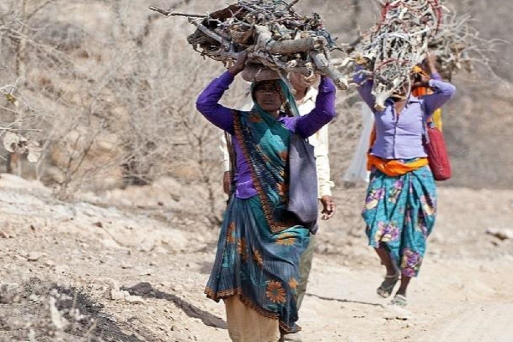 मध्य प्रदेश में 18 सितंबर से लेकर 15 नवंबर के बीच 58 दिनों में प्रदेश के 19158 गांवों को सामुदायिक वन संसाधनों के अधिकार दिये जाने की भी घोषणा की गई थी। Photo: GettyImages