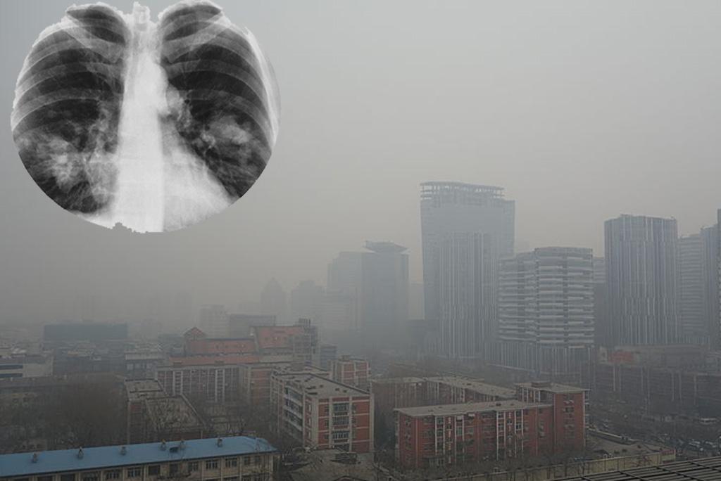 फोटो : विकिमीडिया कॉमन्स 