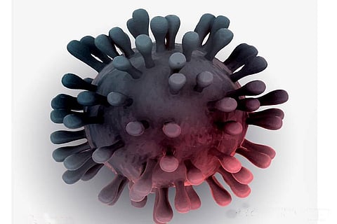 फोटो : विकिमीडिया कॉमन्स