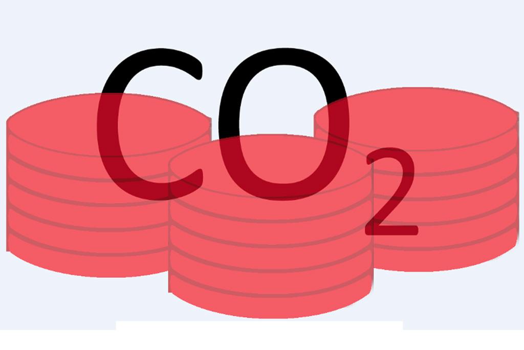 फोटो : विकिमीडिया कॉमन्स 