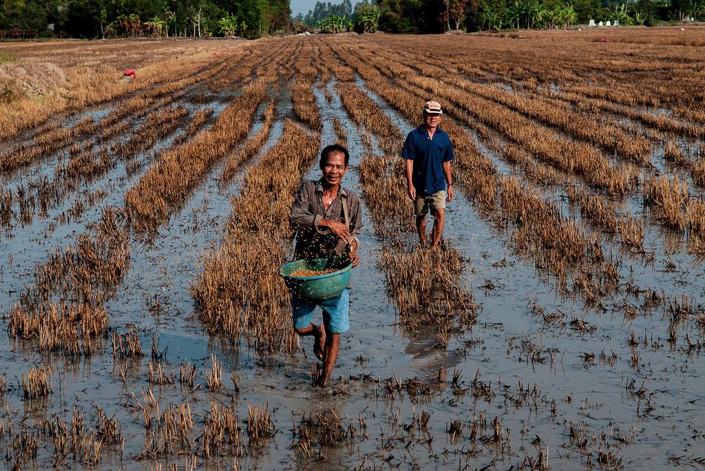 वैज्ञानिकों ने दी मौसम से लेकर महासागरों तक भारी बदलाव की चेतावनी