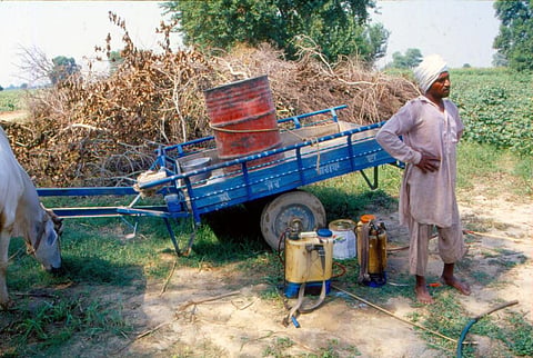 पंजाब विधानसभा चुनाव 2022 : दलितों के वोट जरूरी लेकिन उनके मुद्दों की किसे फिक्र