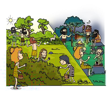 വിളവെടുപ്പ് ഉത്സവങ്ങൾ ആഘോഷിക്കുന്നത് എന്തുകൊണ്ട്?  