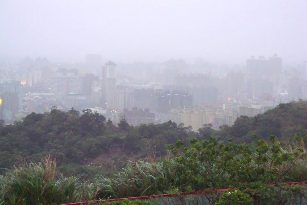 फोटो : विकिमीडिया कॉमन्स
