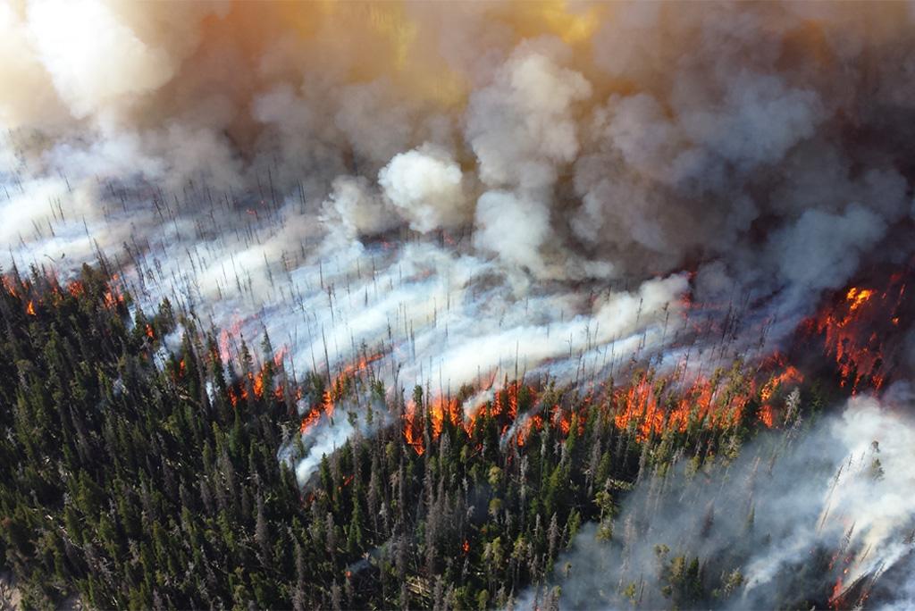 जमीन को खराब करने के साथ ही तापमान को 60 फीसदी तक बढ़ा देती है जंगल की आग