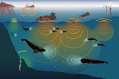 समुद्र में बढ़ते तापमान के साथ बढ़ जाएगी ध्वनि की रफ्तार, जीवों के लिए पैदा हो सकता है बड़ा खतरा