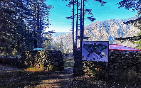 उत्तराखंड के देवलसरी स्थित अरुण गौर का इकोटूरिज्म सेंटर। फोटो: वर्षा सिंह 