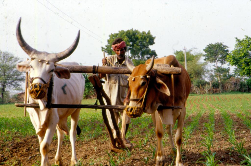 मॉनसून 2023: भारत में औसत से कम होगी बारिश, उत्तराखंड और मध्यप्रदेश होंगे सबसे ज्यादा प्रभावित