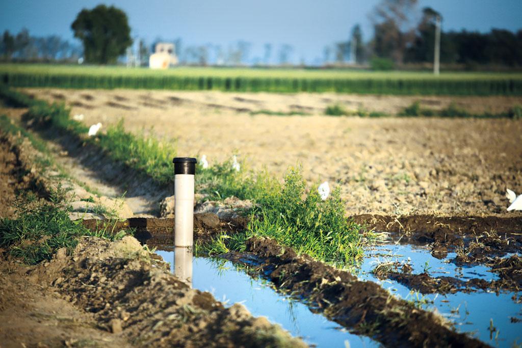 हरियाणा के करनाल जिले के गांव अरडाना में सिंचाई के लिए खेतों में गहरे सबमर्सिबल पंप लगाए गए हैं (फोटो: मिधुन विजयन/सीएसई)