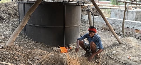 फोटो- बाराबंकी जिले में मेंथा की कटाई,  पेराई करते किसान, अरविंद शुक्ला