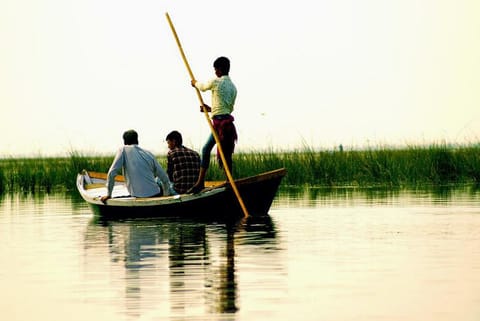 प्रतीकात्मक तस्वीर