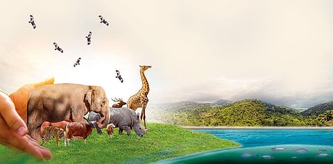 इलस्ट्रेशन: रितिका बोहरा / सीएसई