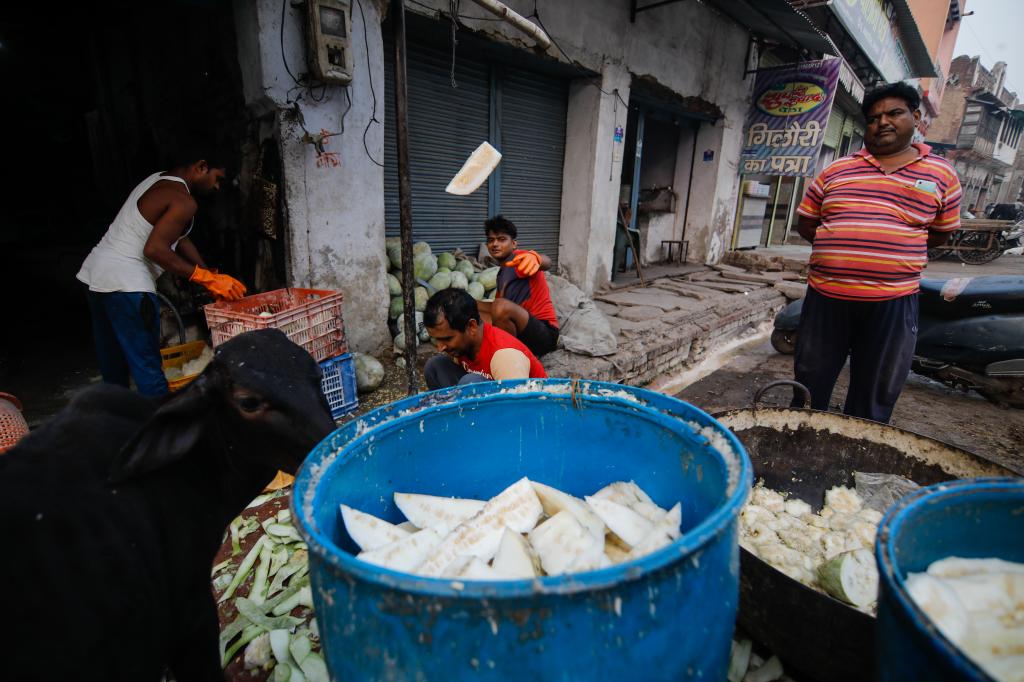 सभी शहरों को पीछे छोड़ दौसा में जानलेवा हुआ प्रदूषण, दिल्ली-फरीदाबाद में सुधरी वायु गुणवत्ता