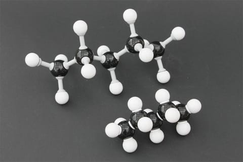 फोटो साभार : विकिमीडिया कॉमन्स, बिन इम गार्टन 