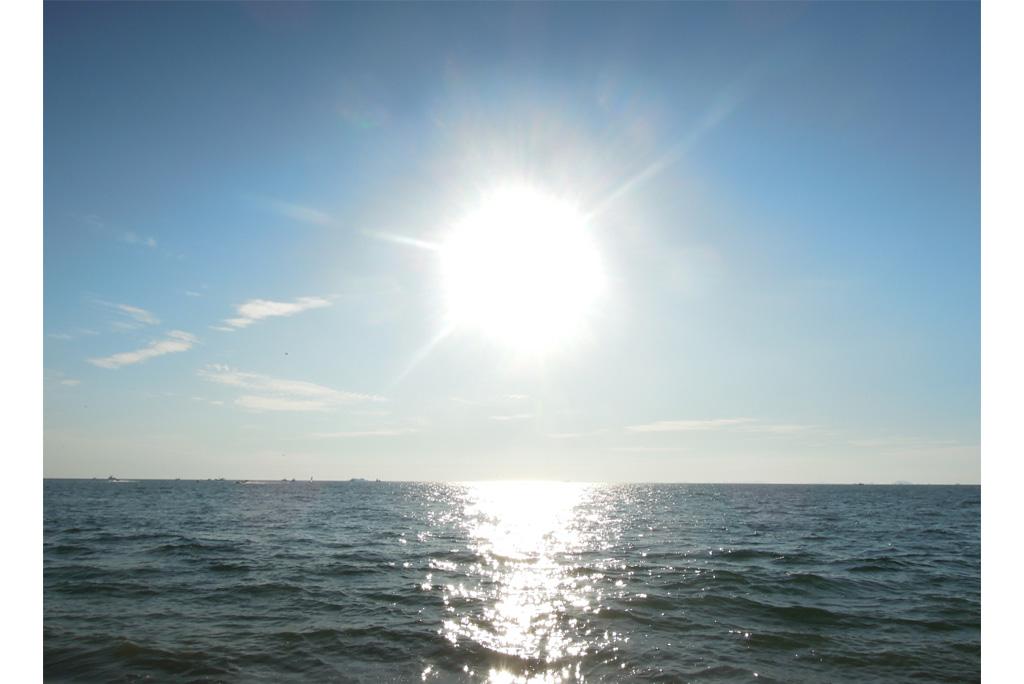 फोटो साभार : विकिमीडिया कॉमन्स, केन 