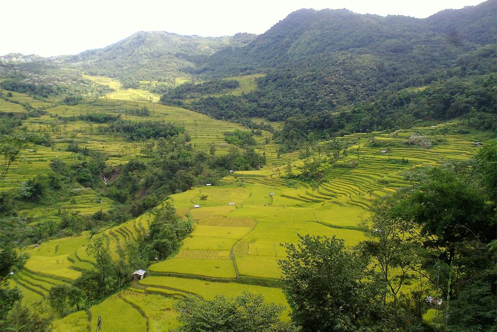 फोटो साभार : विकिमीडिया कॉमन्स, तेवु  