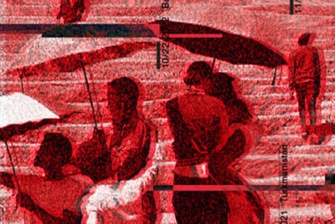 फोटो साभार : एक्सेस नाउ