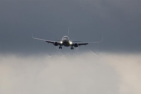 फोटो साभार : विकिमीडिया कॉमन्स, रोनी मैकडोनाल्ड