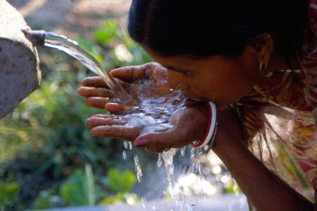 फोटो साभार : सीएसई