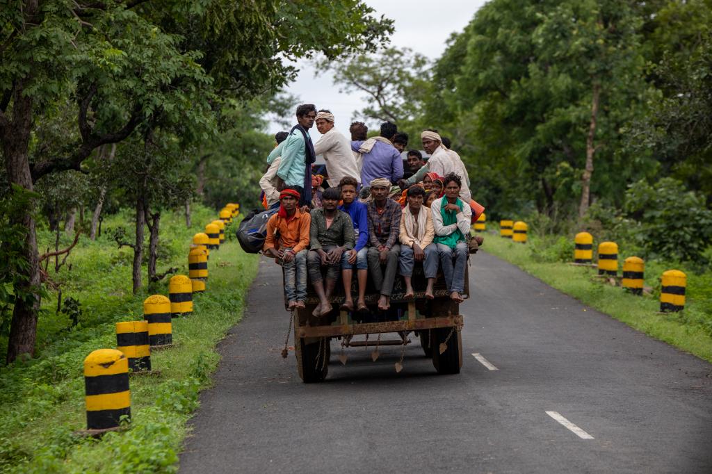 छत्तीसगढ़ में सामुदायिक वन संसाधन प्रबंधन बना सकता है ग्राम सभाओं को आत्मनिर्भर