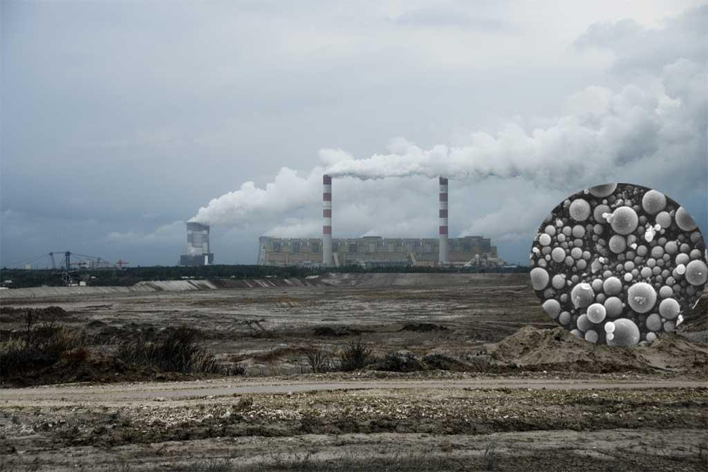 फोटो साभार : विकिमीडिया कॉमन्स