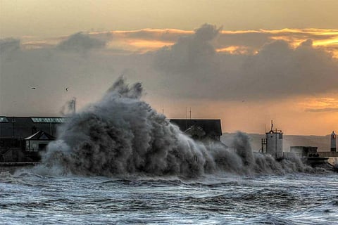 फोटो साभार: विकिमीडिया कॉमन्स