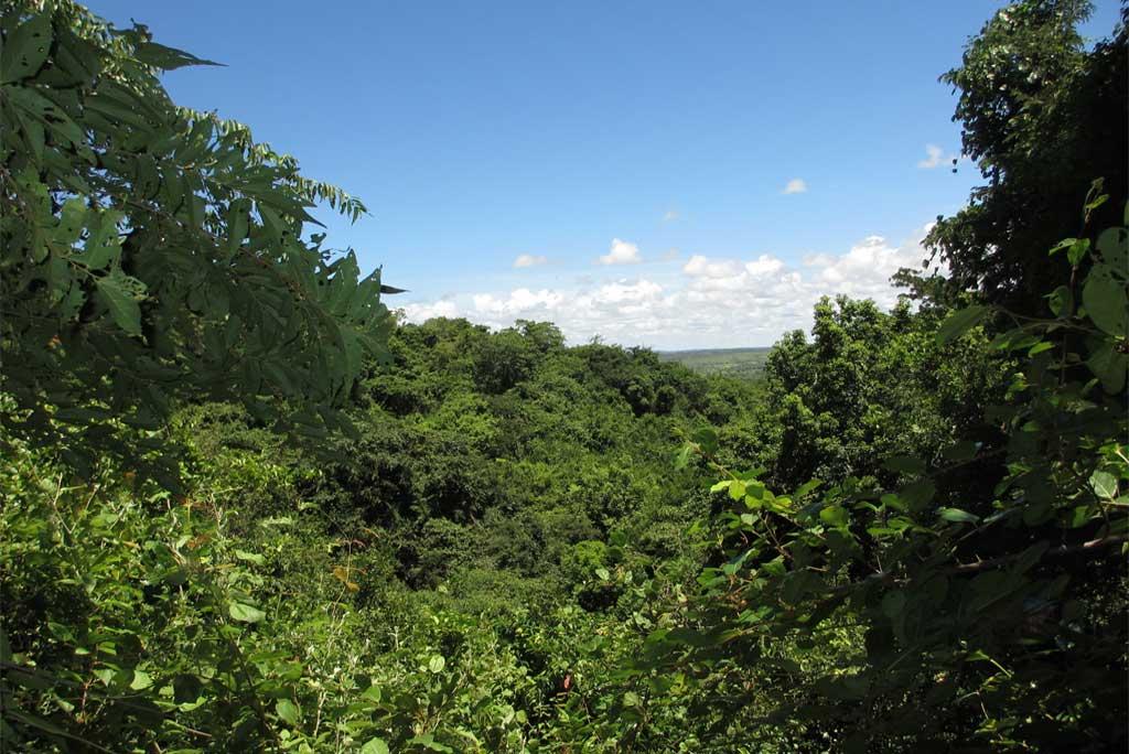 फोटो साभार: विकिमीडिया कॉमन्स, टन रूलकेन्स