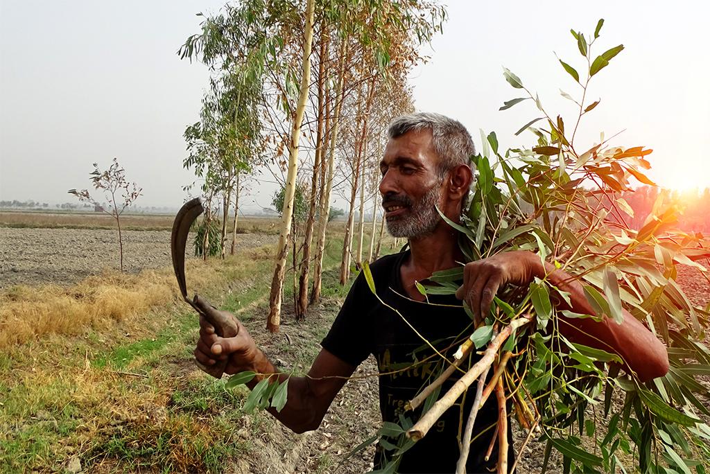 दुनिया भर में छोड़ी गई 6.1 करोड़ हेक्टेयर कृषि भूमि पर दोबारा खेती की जा सकती है; फोटो: आईस्टॉक  