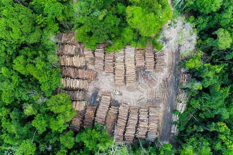 ब्राजीलियाई अमेजन वर्षावन के एक क्षेत्र में काटे गए पेड़ों का हवाई दृश्य; फोटो: आईस्टॉक