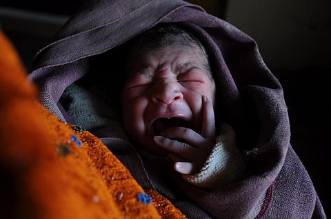 फोटो: सीएसई