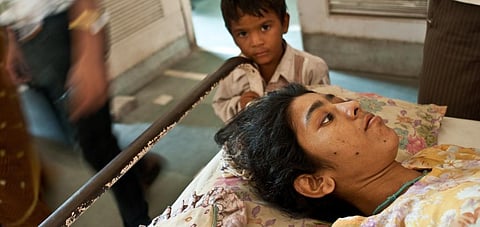 फोटो: सीएसई