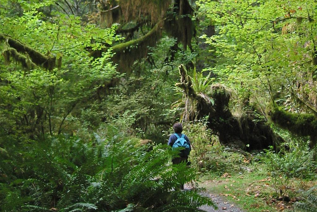 फोटो साभार: विकिमीडिया कॉमन्स, वसीगमंड