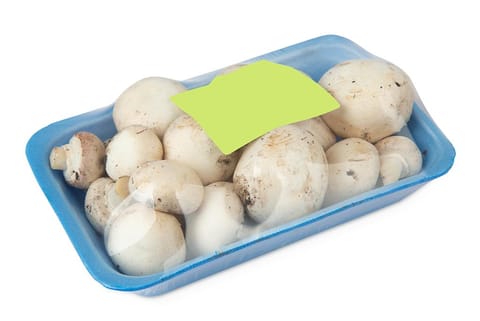 इम्युनिटी बूस्टर के साथ-साथ, औषधीय गुणों से संपन्न मशरूम; फोटो: आईस्टॉक